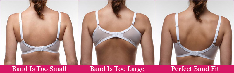 Bras and Back Pain: How correct fit can make a big difference. - ATLANTIC  PHYSICAL THERAPY